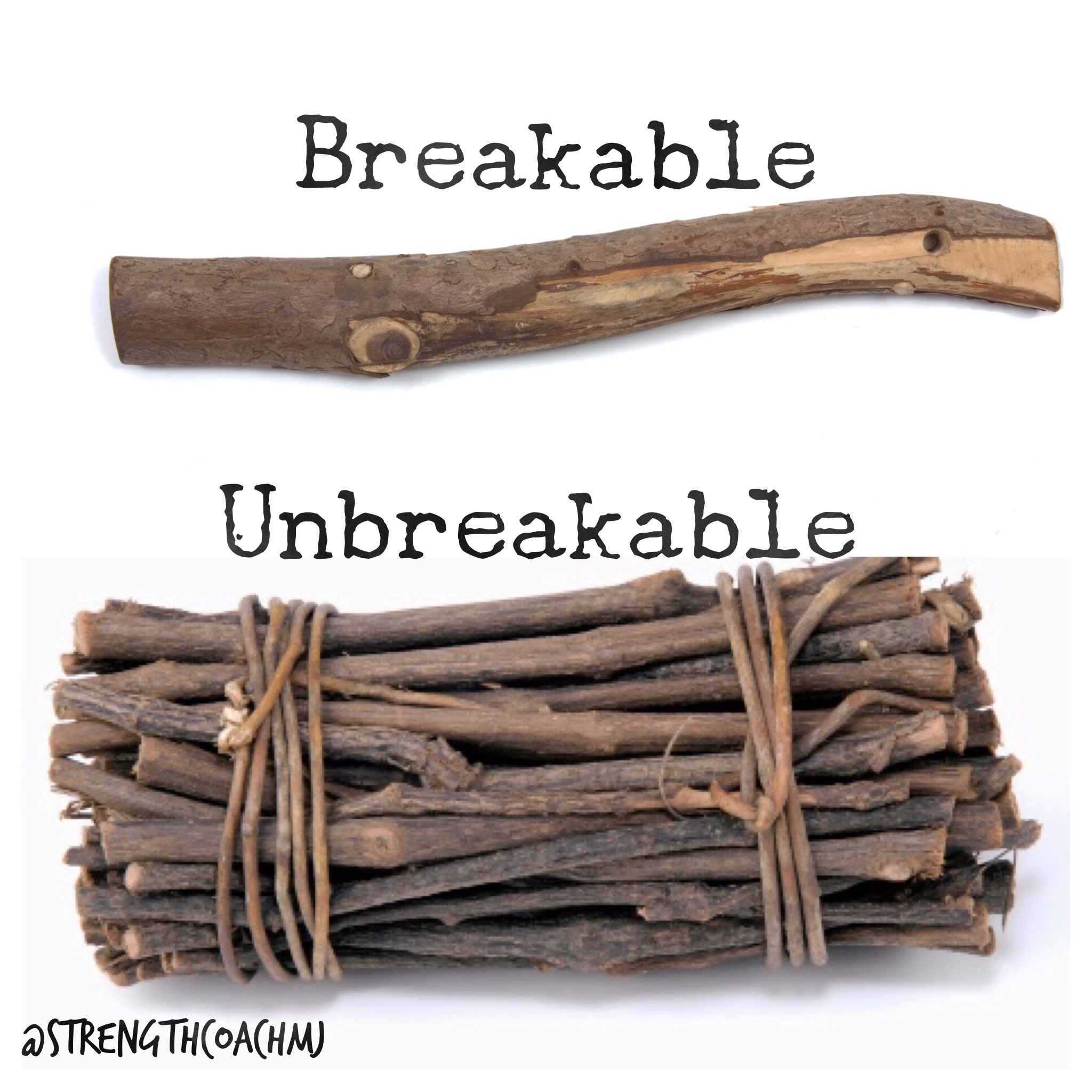 Twitter 上的Matthew Johnson："#Athletes - A bundle of sticks CANT be broken.  Strength comes in numbers. #teamwork #togetherwecan  https://t.co/57pIgRdp8u" / Twitter