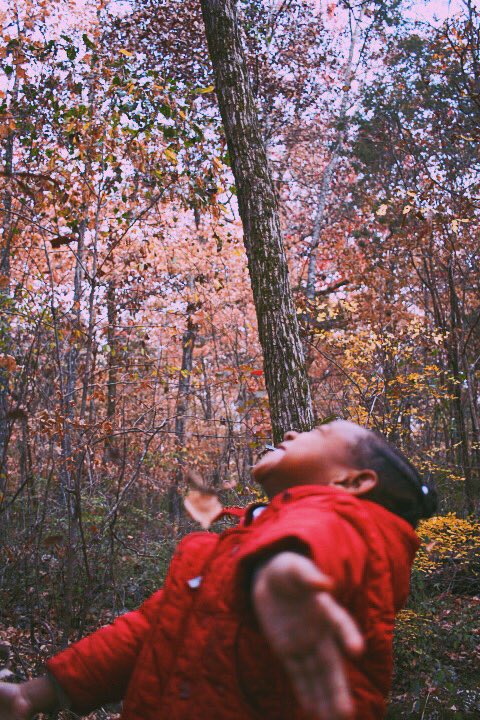 hisnametoolong's tweet photo. Told my little cousin she a black princess during our hike, these her reactions 💗🌲🍂

color photos > (@thebarringtondarius) https://t.co/bU6HAhS15k