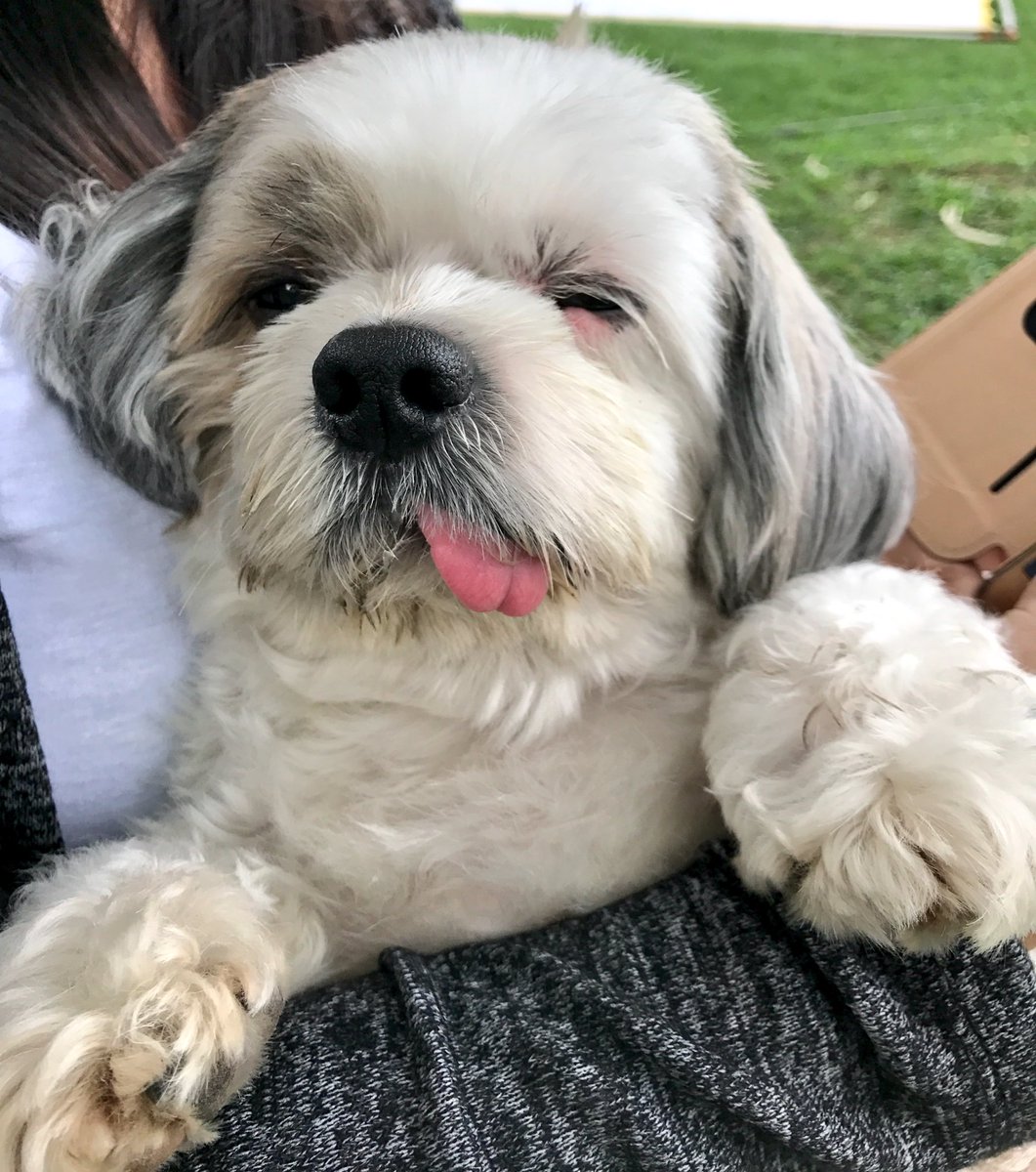 Alden Richards tweet media