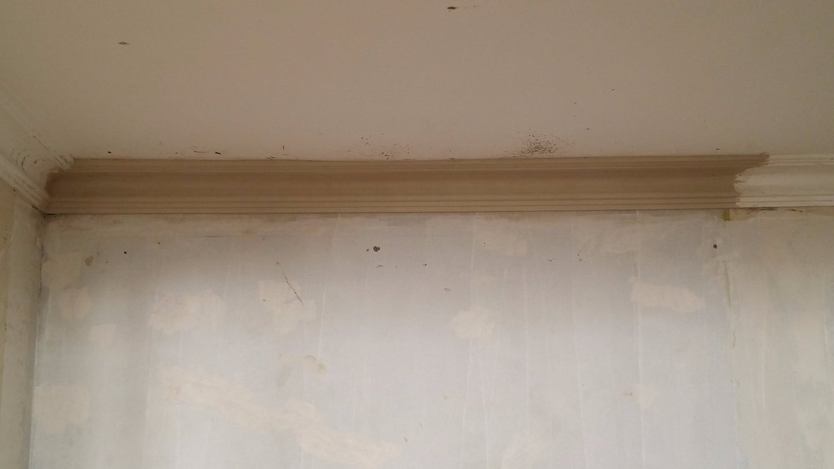 construquick tweet picture