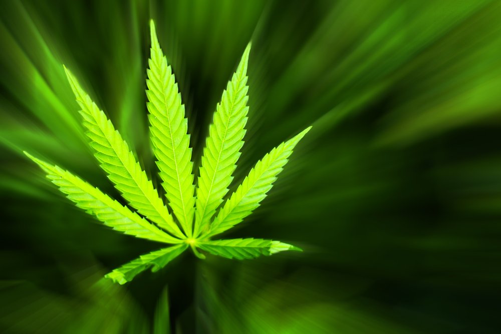 NacalaiTesque's tweet photo. Poster at #EAS2016 Differentiate Δ9-THC from Δ8-THC #cannabinoids #THC https://t.co/bUhSfsaIOC https://t.co/sj38SIBtc5
