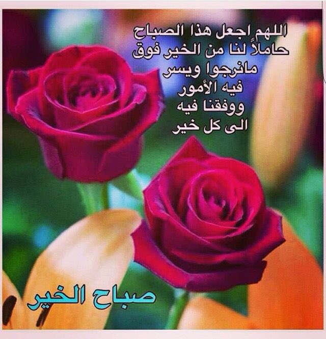 rn1405rn's tweet photo. https://t.co/nw4otGNMh7