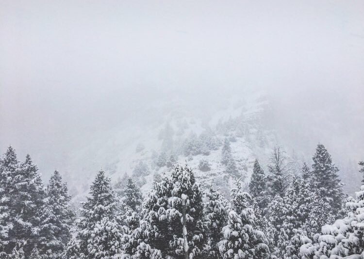 T_Gunnell's tweet photo. I FREAKING LOVE WINTER. https://t.co/abYGlOjpvJ