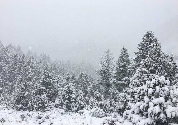 T_Gunnell's tweet photo. I FREAKING LOVE WINTER. https://t.co/abYGlOjpvJ