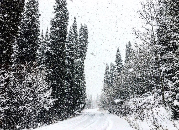T_Gunnell's tweet photo. I FREAKING LOVE WINTER. https://t.co/abYGlOjpvJ