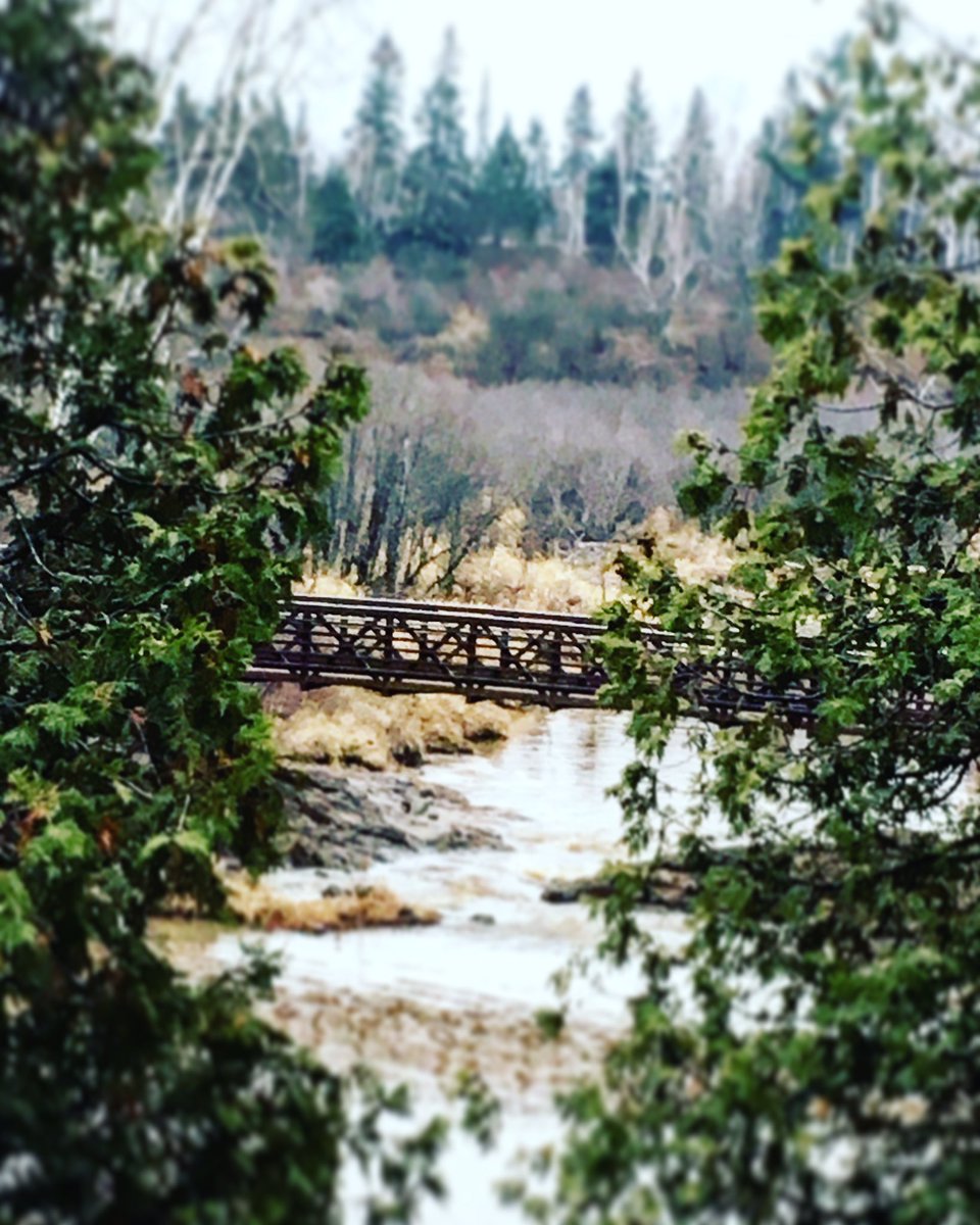 ktemple22's tweet image. Right in the middle of the stream of time, we have to open our eyes there and see the total picture of time