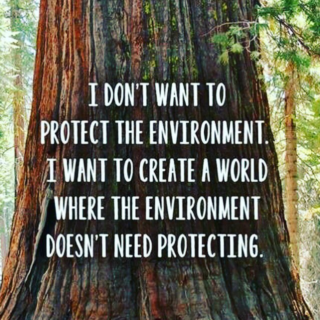 Thank you to all earth protectors! Much Love #CreativeHumans #StayCreative #StayHuman # StayWeird #Ch. #LoveNature #EarthProtectors