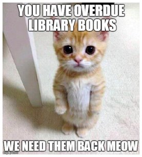 Bridgeport Library tweet media