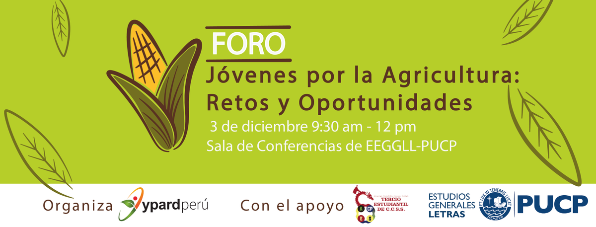 YPARD Perú tweet media