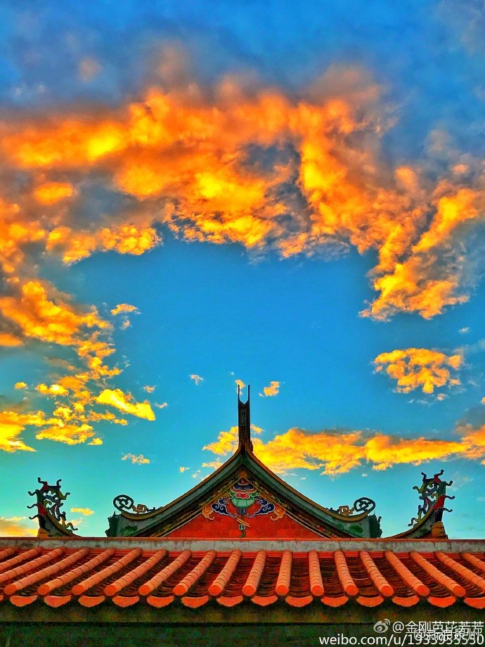 RuthHong28 tweet picture