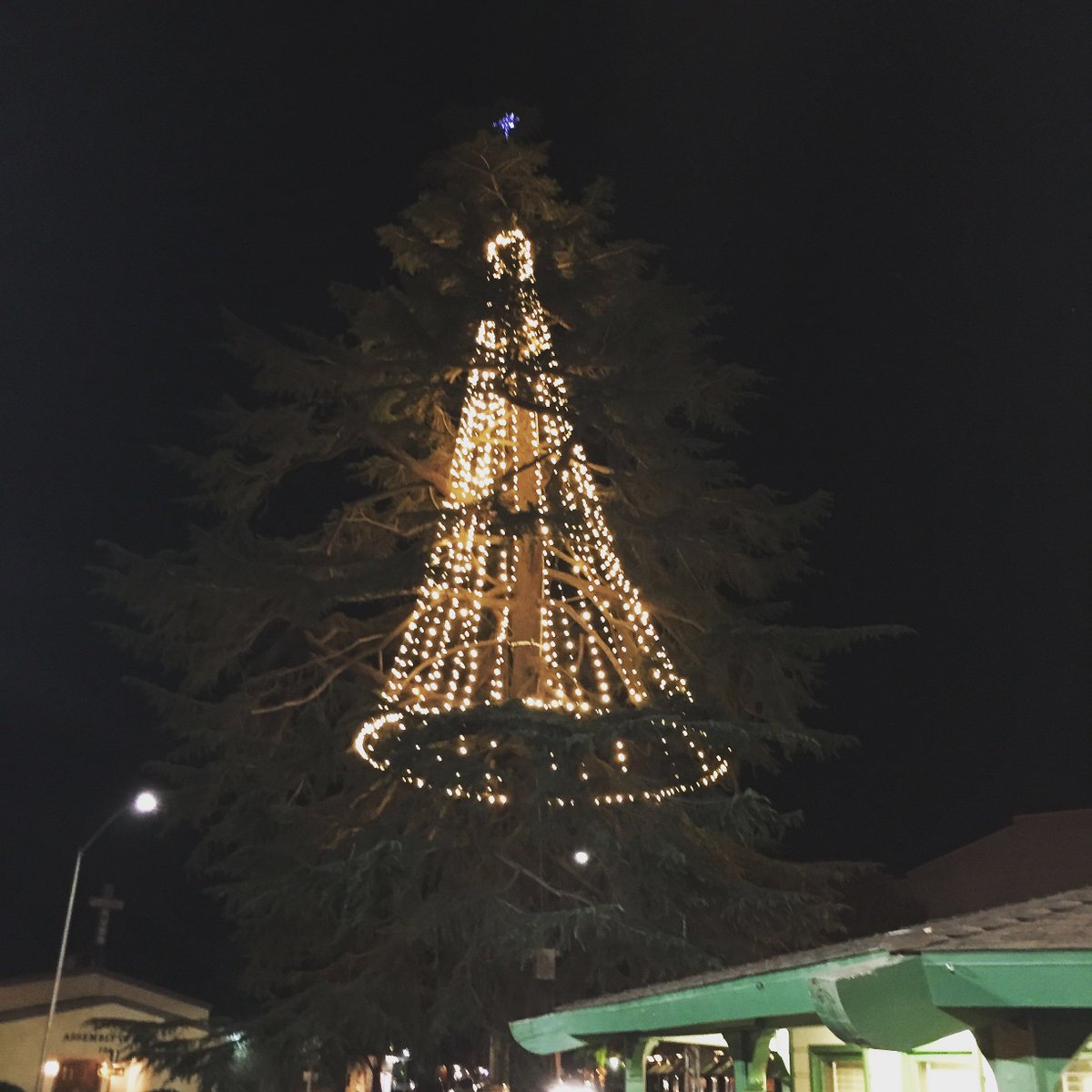 CityofVisalia's tweet photo. Visalia’s official Christmas Tree is now lit and ready for the season! Thanks @Visaliapd &amp; @VisaliaParks! https://t.co/wzkGHoCSUM