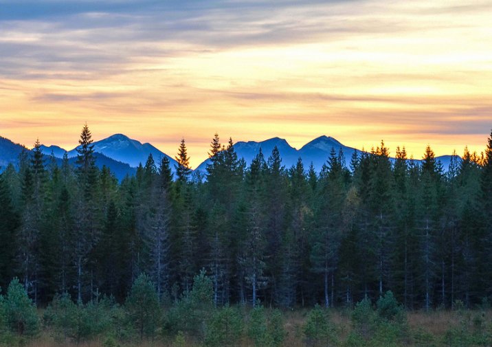 Change is hard at first, messy in the middle, and gorgeous at the end. Morning, dears.