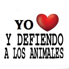 Sofía Martínez H. tweet media