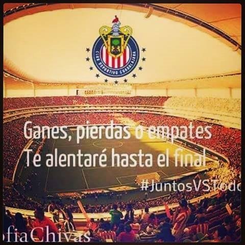 netto_0123's tweet photo. Chivas de corazon y no de ocacion ❤ https://t.co/H4CUsoUkT0
