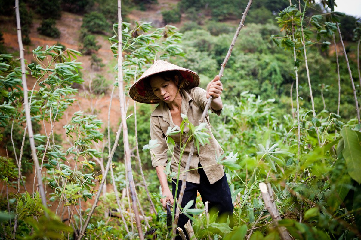 How to apply Participatory #Forest Monitoring in the context of Safeguards Information Systems for #REDD+? snv.org/update/exchang…