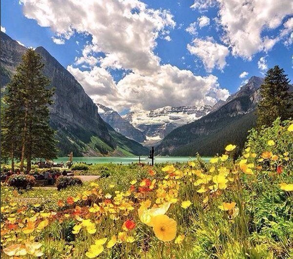 vincentmenezes's tweet photo. #GoodMorningTwitterati! ⛅️
#HappyHolidays!
#GoExplore..
#Alberta -
Credit~cbezerraphotos https://t.co/IyddYXqrcG