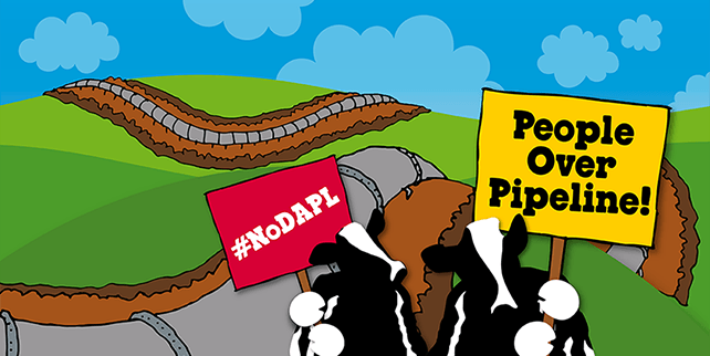 benandjerrys's tweet photo. Learn how you can help out and take a #StandWithStandingRock >> https://t.co/rd9CVCsL9W https://t.co/juEspgXfRN #NoDAPL #WaterIsLife https://t.co/P8rRXT3BmU