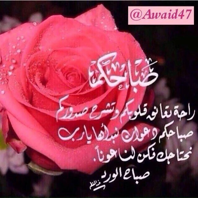 Awaid47's tweet photo. أصبحنا وأصبح الملك لله رب العالمين ، اللهم إني أسألك خير هذا اليـوم فتحه ، ونصره ، ونوره وبركته ، وهداه ، وأعوذ بك من شر ما فيه وشر ما بعده https://t.co/ep7PsXR2jF