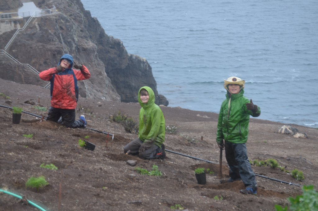 Restoration work in the rain with my school at #Anacapa it was really fun & I planted ten plants  #handsontheland
