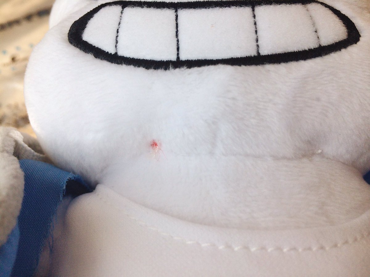 ebott_ut's tweet photo. ?? 뭐지 마무리하다 남은건가 https://t.co/YmrXC14Vc0