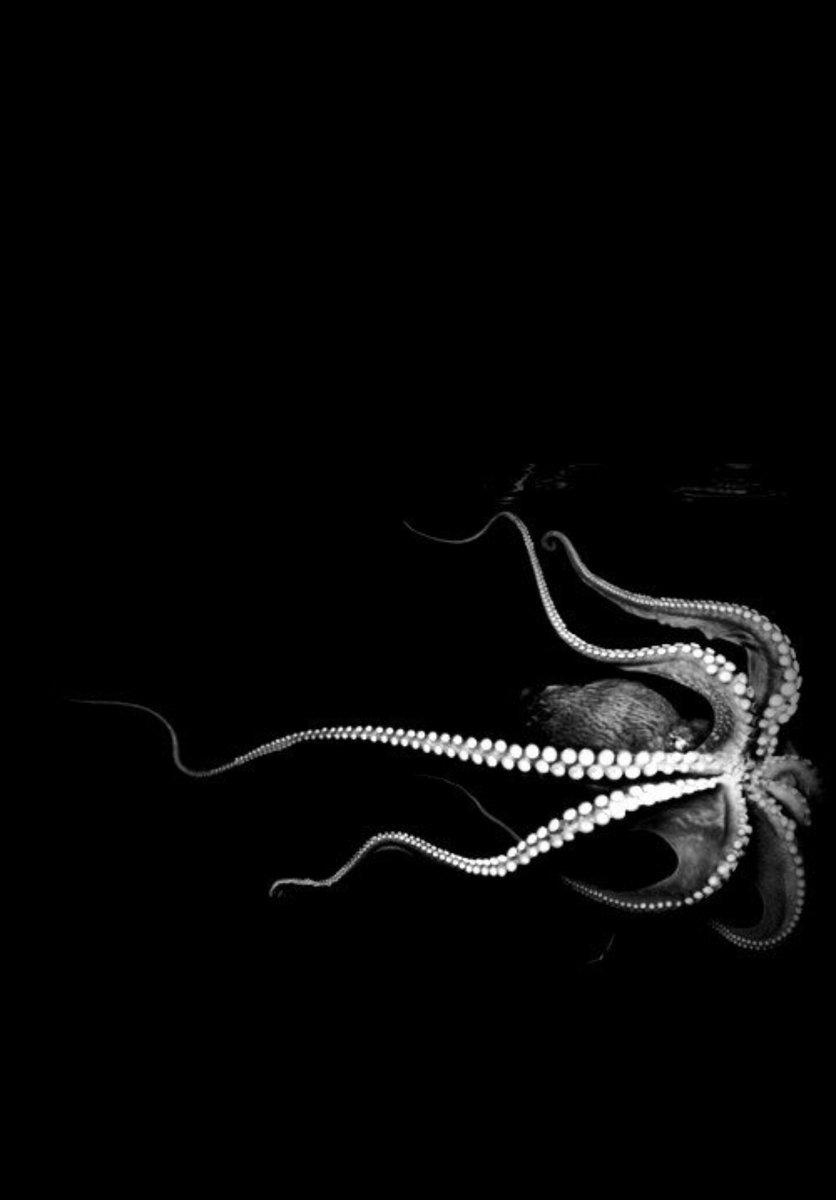 2kdei's tweet image. Knowing the &apos;other&apos; enables you to take the offensive, knowing yourself enables you to stand on the defensive.

Sun Tzu, The Art of War