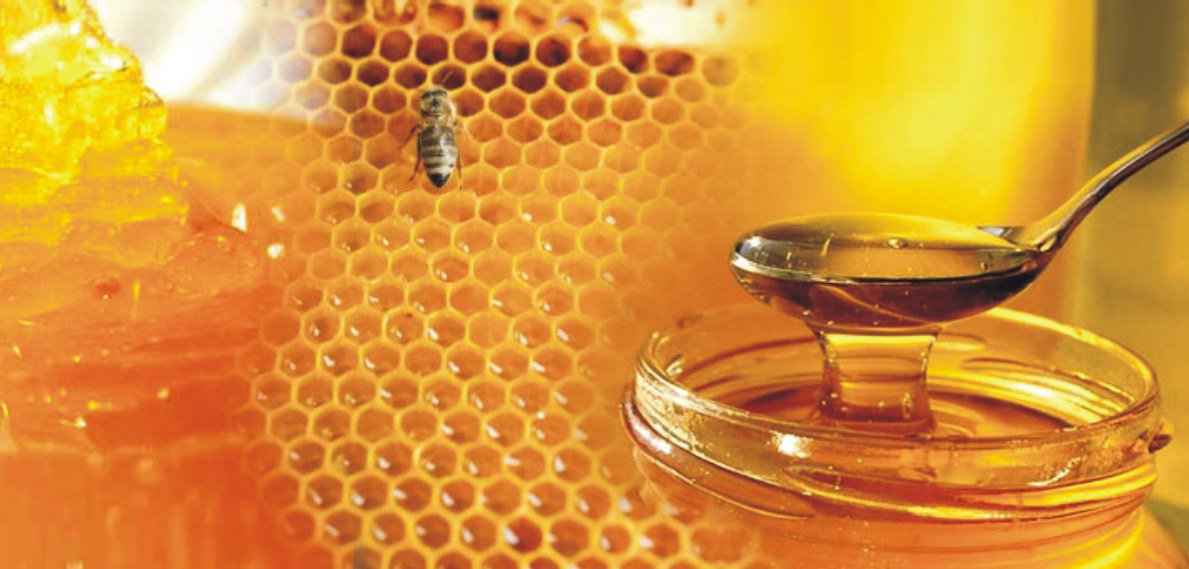 melizzgr's tweet photo. Good week of @melizzgr honey #honey #greekhoney #greece #healthyfood #food https://t.co/QdBPGakPI4
