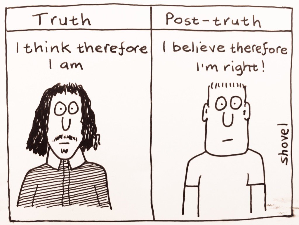 Image result for truth cartoon