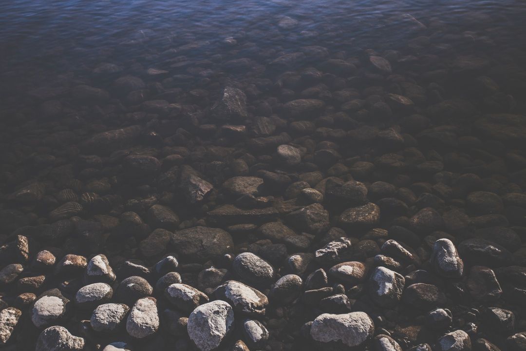 overlandigital's tweet photo. Unsplash: cientos de fotografías libres de alta resolución para descargar.
https://t.co/amzuiUgOkD
Vía @unsplash https://t.co/HytuOtY7B7