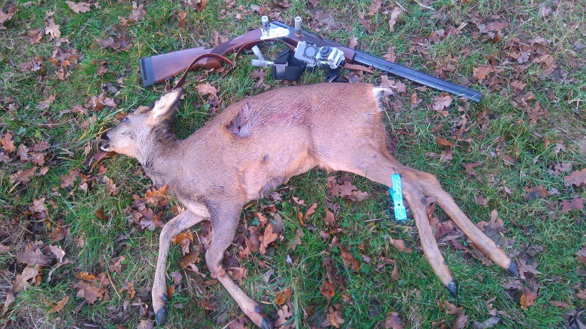 ChasseMat tweet picture