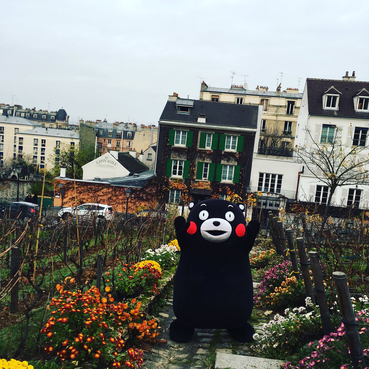 Kumamon, célèbre mascotte japonaise, en visite à Montmartre. #Kumamon #Kumamoto #japon #montmartre #paris #mascotte