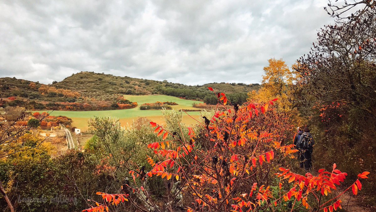 BasurdeEditions's tweet photo. Muchos caminos pero un único objetivo: disfrutar del campo y la compañía. B.E. https://t.co/VbN2i0qc7s https://t.co/R2YK50x8A9 https://t.co/u6GnmcUOn8