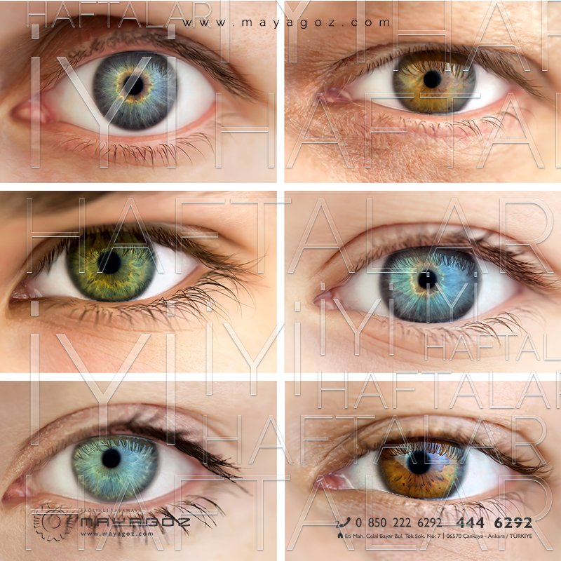 Цвета глаз у человека. Люди с разным цветом глаз фото. Что это за цвет глаз. Выцвет глаз. Всевозможные оттенки глаз.