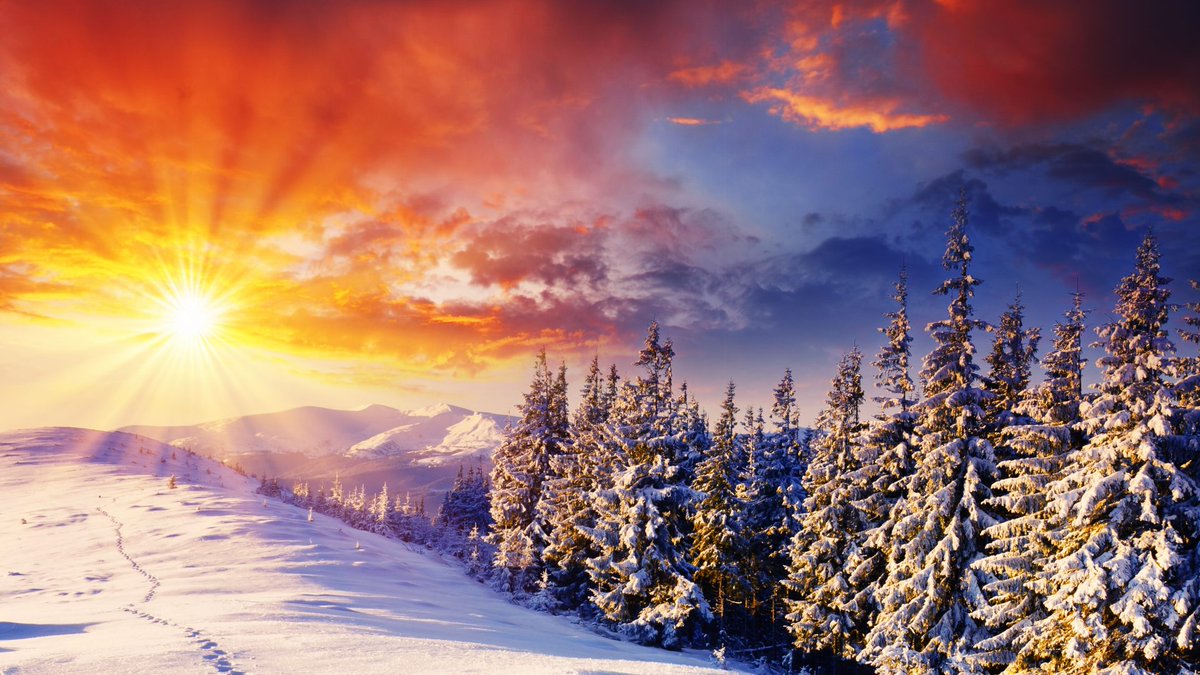 _Cristian_Vlad_'s tweet photo. Good morning @pintsize73 !!
Happy new week ! https://t.co/rYCPuyCXym