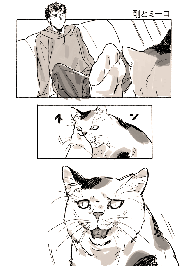 剛とミーコ 