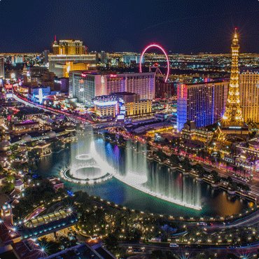 Tarzango App tweet media