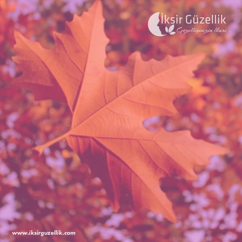 Mutlu Haftalar
iksirguzellik.com
#iksir #iksirguzellik #onlinealisveris #onlinemagaza