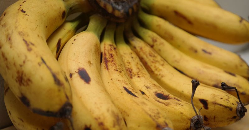 faktagizi's tweet photo. Pisang kaya dengan kalium, bermanfaat untuk  mengurangi tekanan darah. #buahlokal #buahtropis #pisang https://t.co/GCB98tJqsX