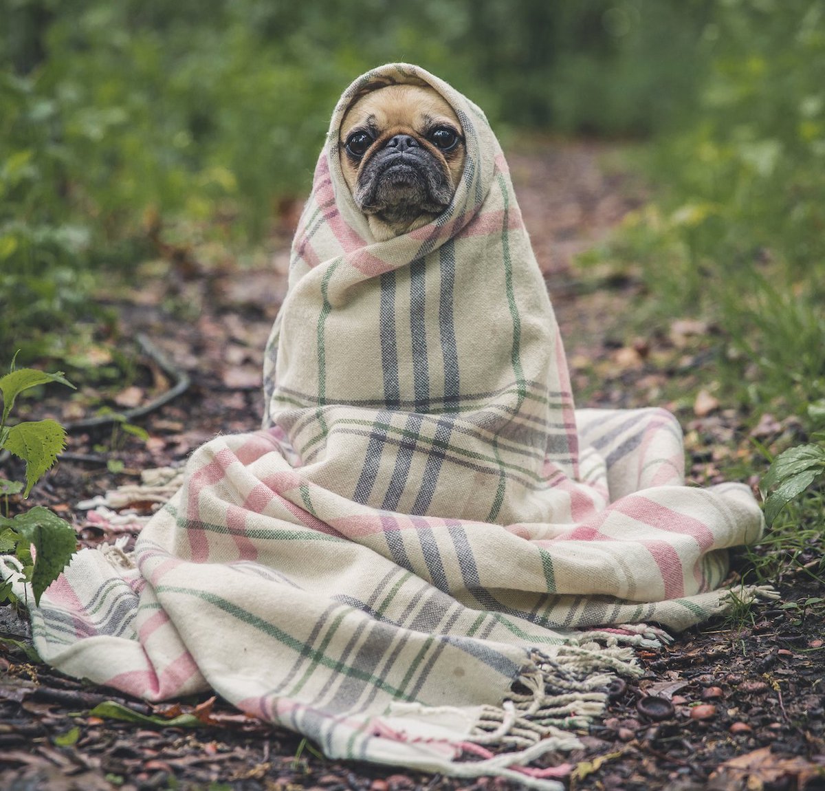 Nynke__Kuipers's tweet photo. ★ ALERT: In de kreukels en niet helemaal blij met je carrière? Become your own brand ➜ foto: M. Henry, Unsplash https://t.co/r7oyYZbKlf https://t.co/IVXA6xdUpt