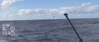 gaetanomura's tweet photo. La #natura sorprende e emoziona sempre. #Albatros che danzano in #oceano il nuovo video  https://t.co/at9LeriaMW https://t.co/wv6OLddgt5 https://t.co/Lkamm3ZEoF