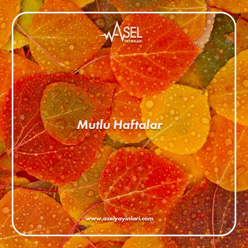 Mutlu haftalar #pazartesi #asel #aselyayinlari #aselyayincilik #aselinter  #teog #lys #ygs