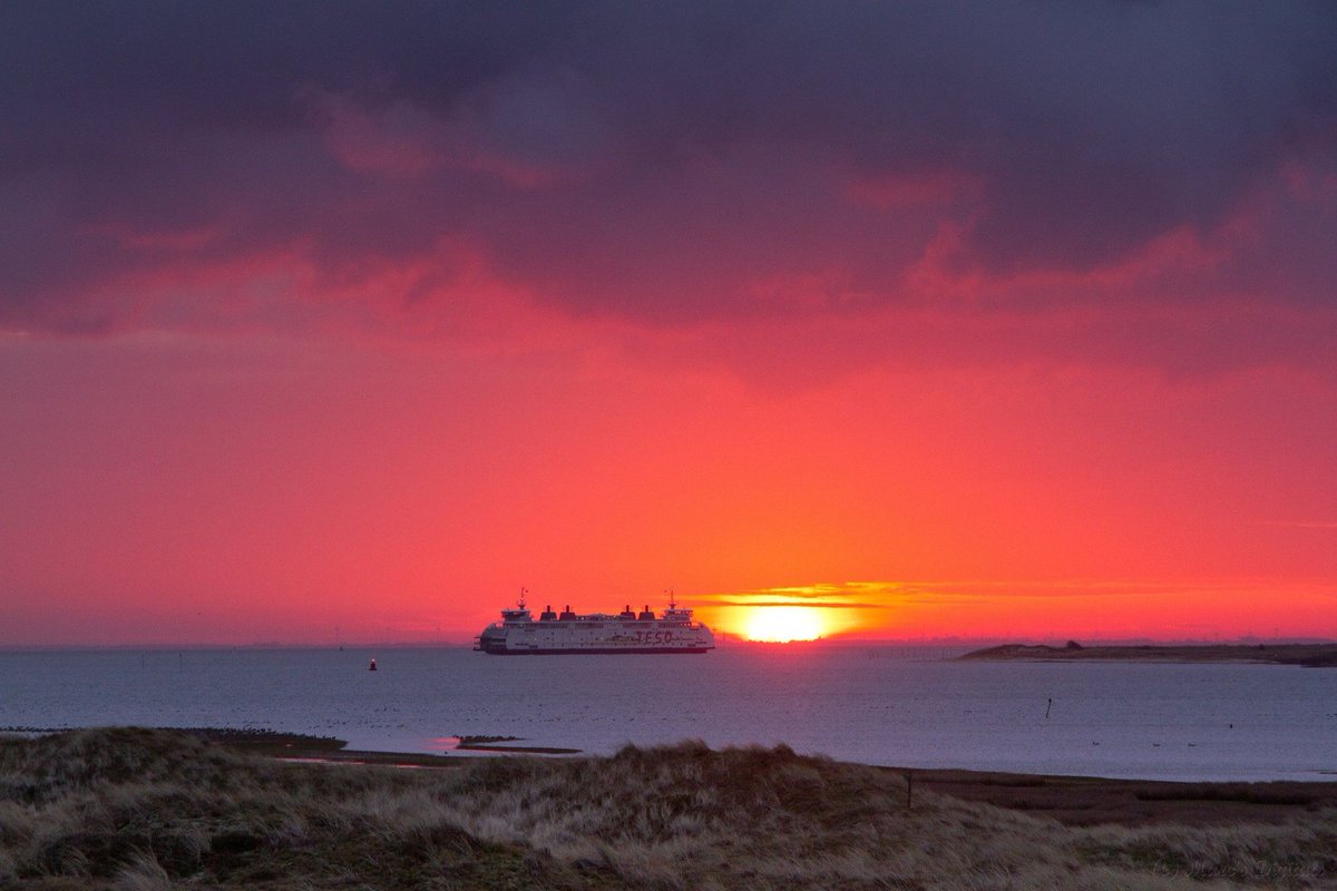 VVVTexel's tweet photo. Goedemorgen vanaf Texel! https://t.co/aW6KKoX1wj