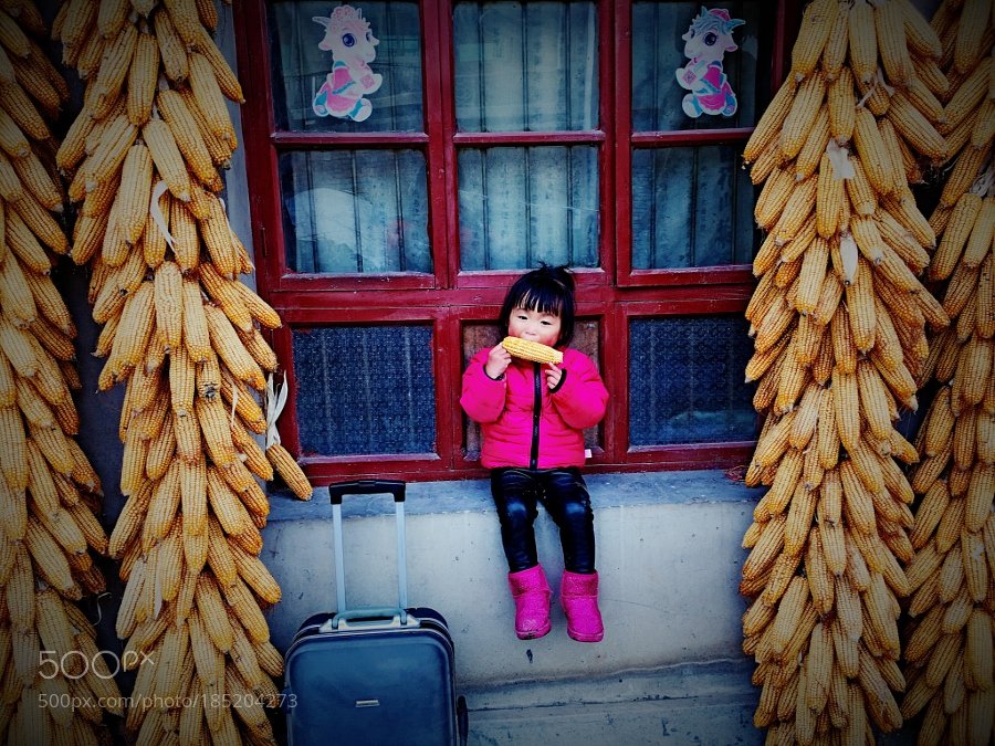 Randallr75's tweet photo. #Photography | 主要看的是气质 | #PhotoOfTheDay #Travel #Photo https://t.co/jIIPGb4Yq8