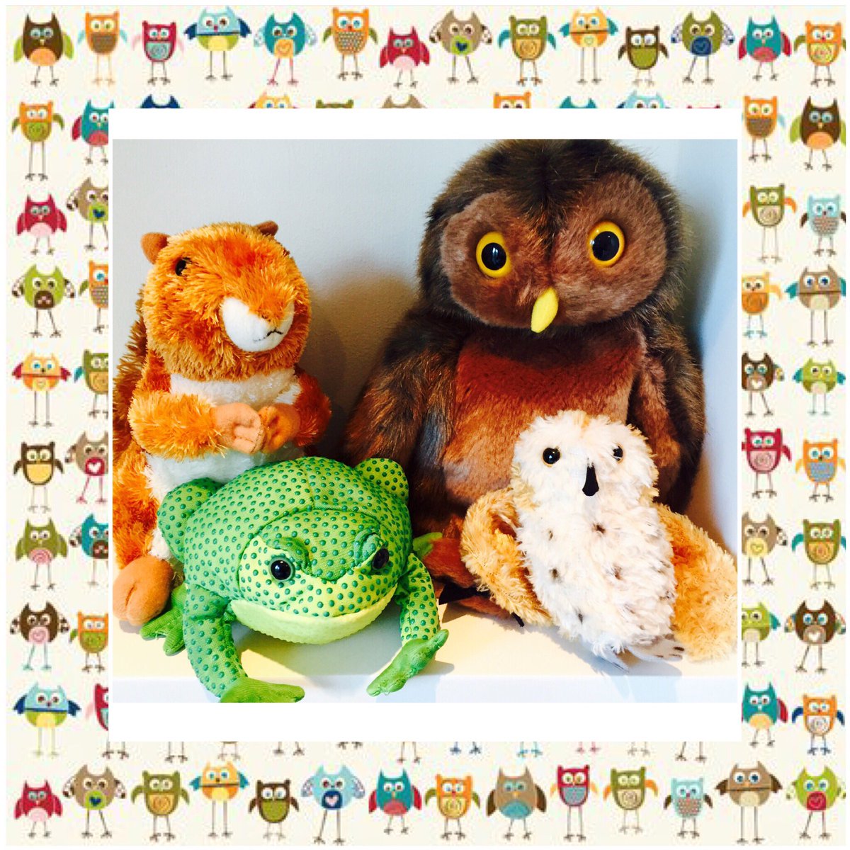 LBookworms's tweet image. 'A Bit Lost' by Chris Haughton is all kinds of lovely. This week at Little Bookworms 🐿🐸