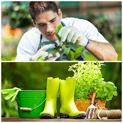 En nuestra granja ofrecemos una gran variedad de servicios de #jardinería ¡Contáctanos!
#granja #garden #growsomethinggreen #Ibiza