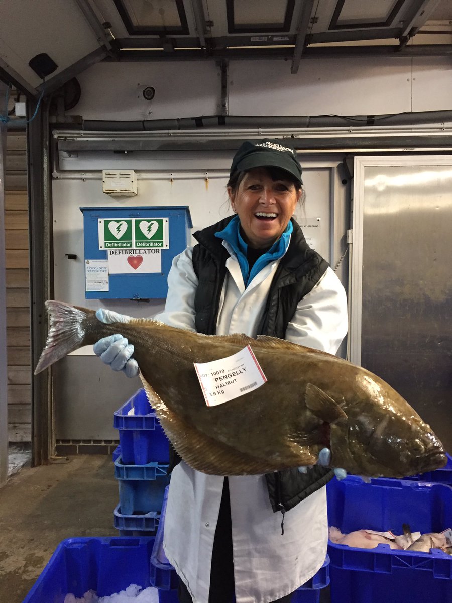 Amazing Halibut only 3 landed this year <a href="/PengellysFish/">Pengellys</a>  <a href="/BBCCornwall/">BBC Cornwall</a> <a href="/CButlerBBC/">Christine Butler</a> <a href="/Love_Looe/">Love Looe</a>