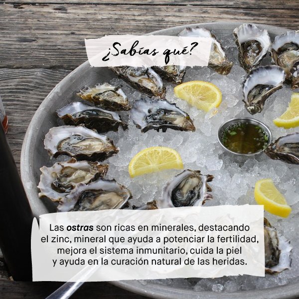 cavamania's tweet photo. Las OSTRAS potencian la fertilidad, mejoran el sistema inmunitario, cuidan la piel y cicatrizan heridas >>https://t.co/bDwjlcYJvB #SabíasQue https://t.co/cFnSzh3QdO