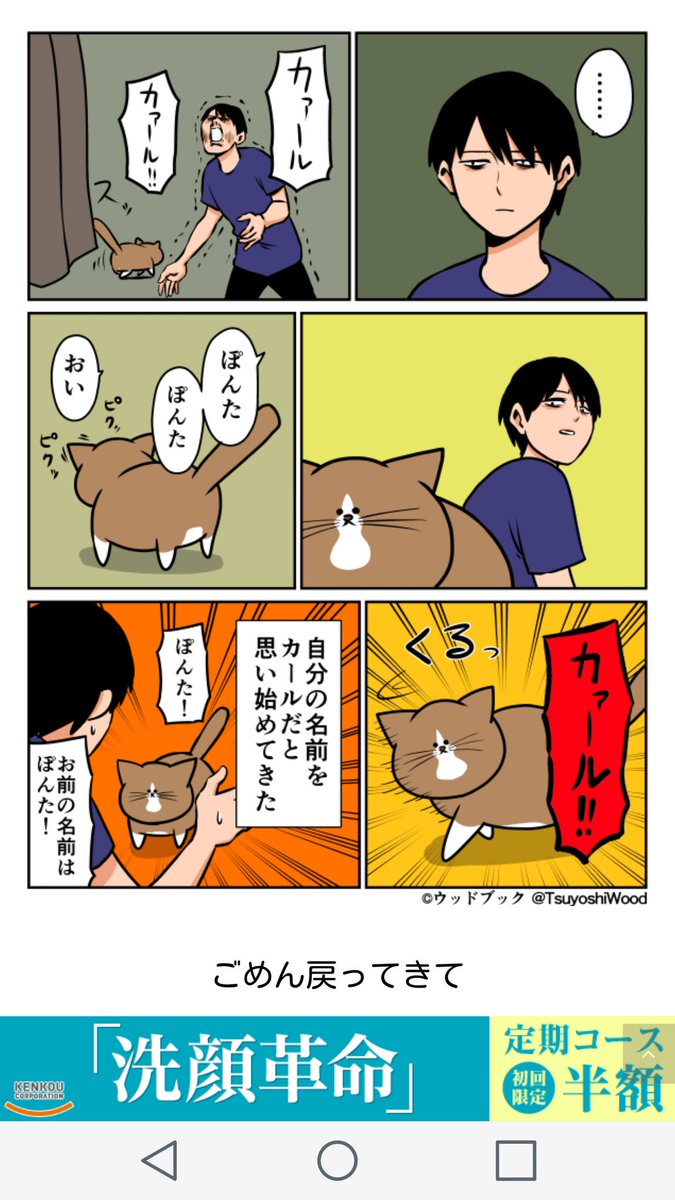 砂倉加奈子 声優 No Twitter 最近 同じことをしてみた レン なんと呼んでも来る 黒様 なんと呼んでも来ない W 海外ドラマ ウォーキング デッド ウッドブック 猫の話 ポン太 ダリルは良い奴