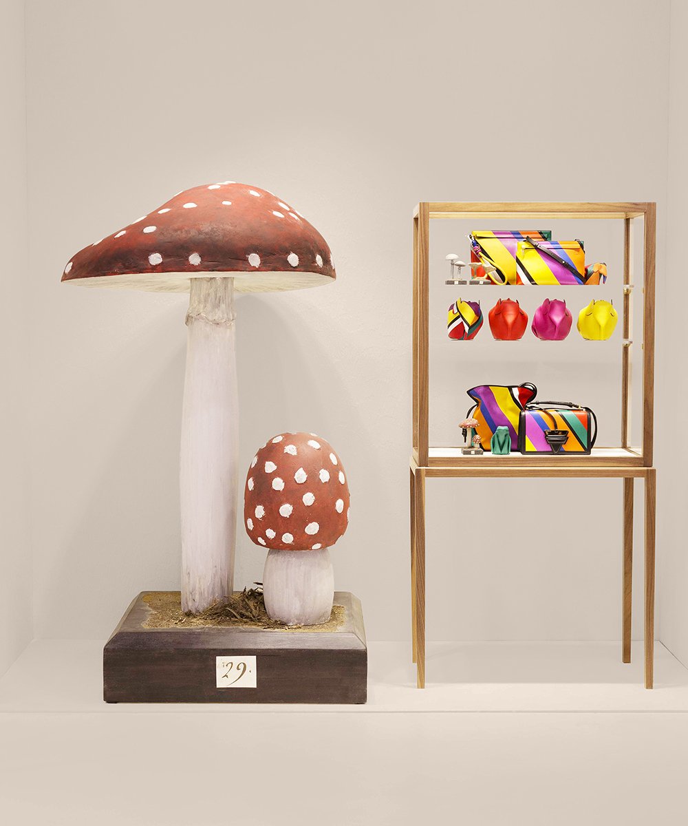 LoeweOfficial's tweet photo. Mushrooms 2016
#LOEWEvisual new concept at #CASALOEWE in Madrid.
#LOEWEgifts https://t.co/lojbAmH9pt