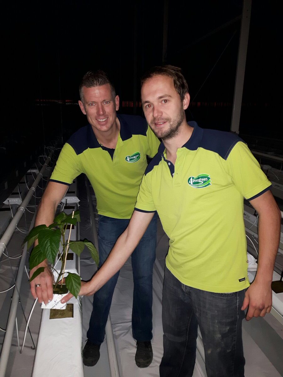 Vanmorgen is in de nieuwbouw kas in Terneuzen de eerste plant geplant door de teamleiders Filip en Joep.