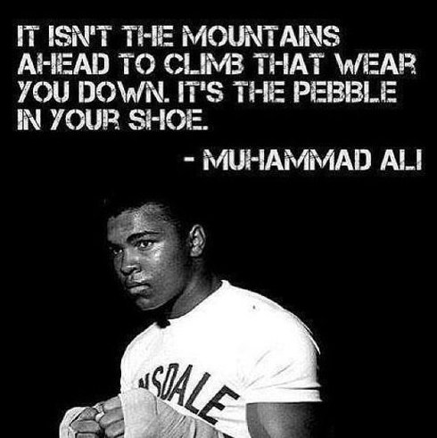 "It isn't the mountains ahead to climb that wear you down. It's the pebble in your shoe." ~ Muhammad Ali
#leadership #quotes